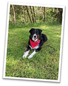 Bailey1